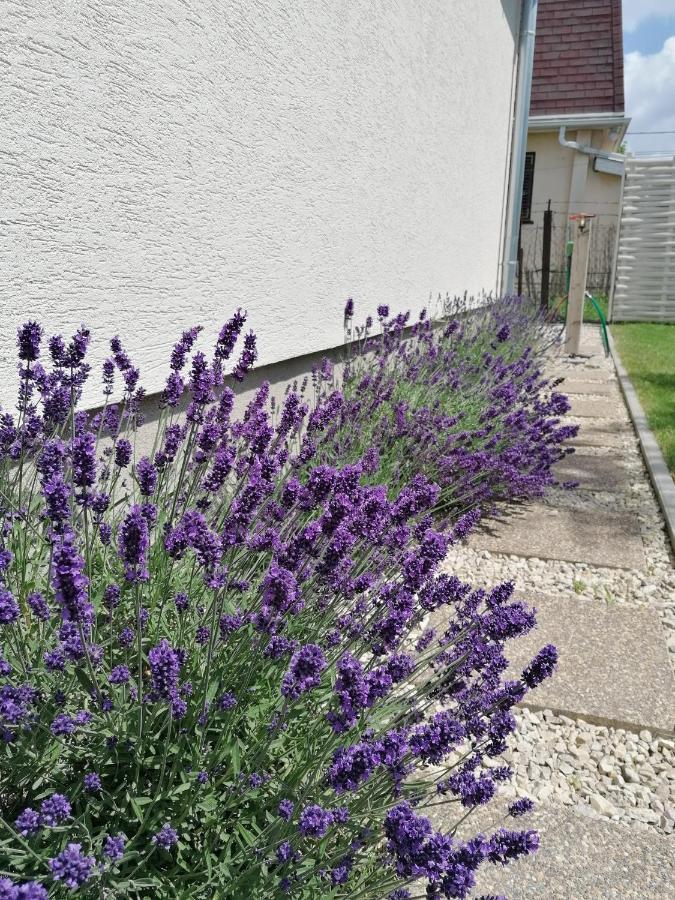 Levelke Mini Apartman Gárdony Eksteriør bilde