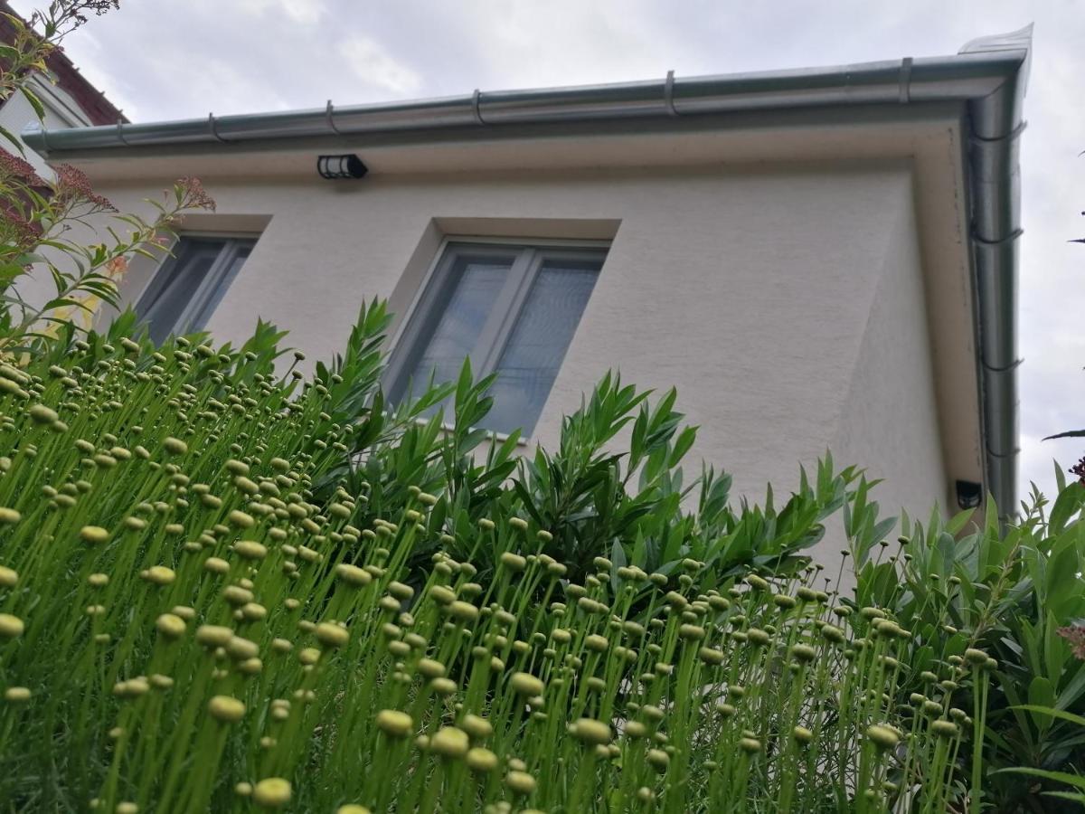 Levelke Mini Apartman Gárdony Eksteriør bilde